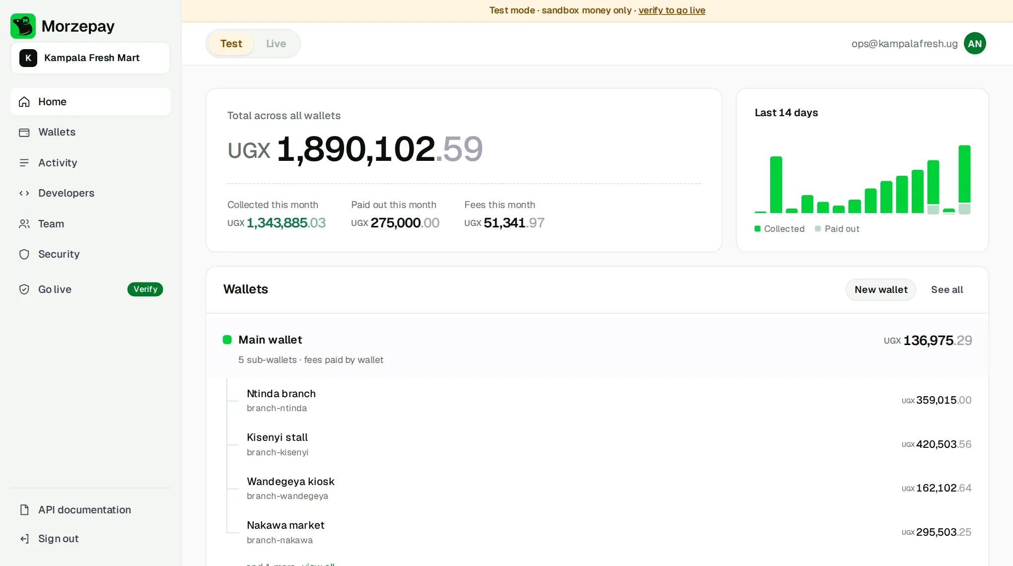 Morzepay dashboard overview: total balance, this month's collections and fees, and a main wallet with sub-wallets.